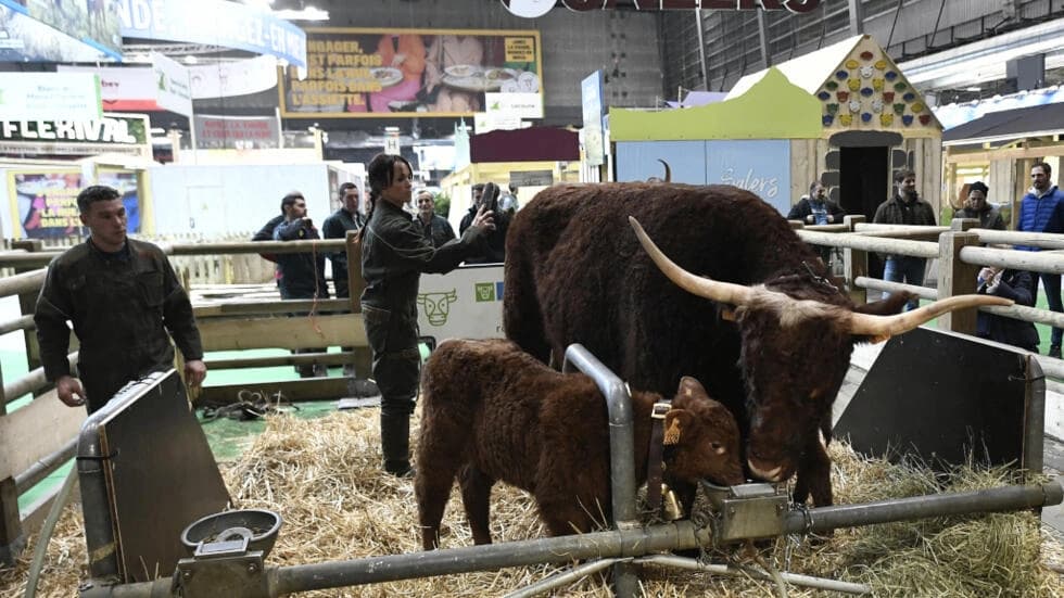 職業危機の真っ只中にあるフランスの農業