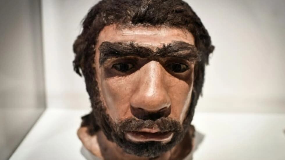 フランスの洞窟で見つかった最古のネアンデルタール人の彫刻