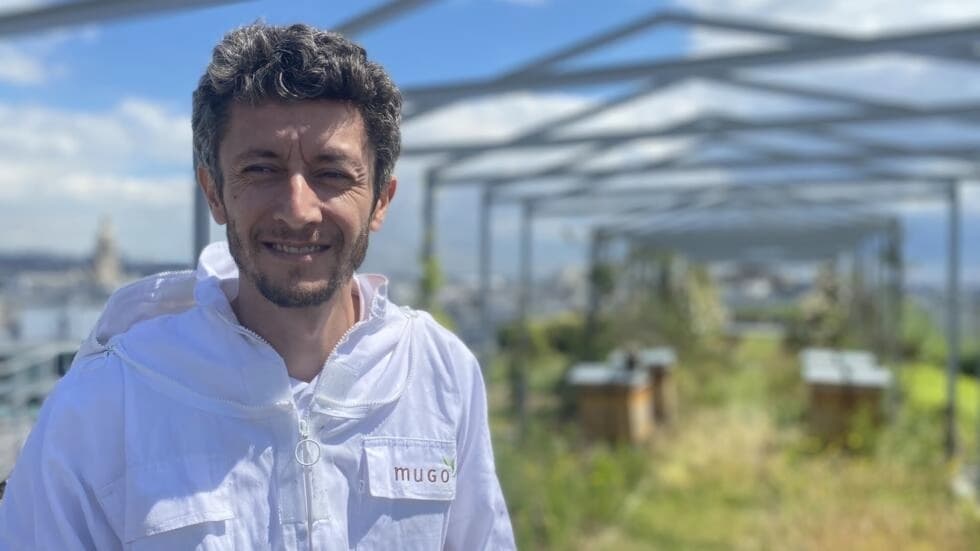 パリの屋上の巣箱は、気候変動のためにミツバチの膝の蜂蜜を少なくする