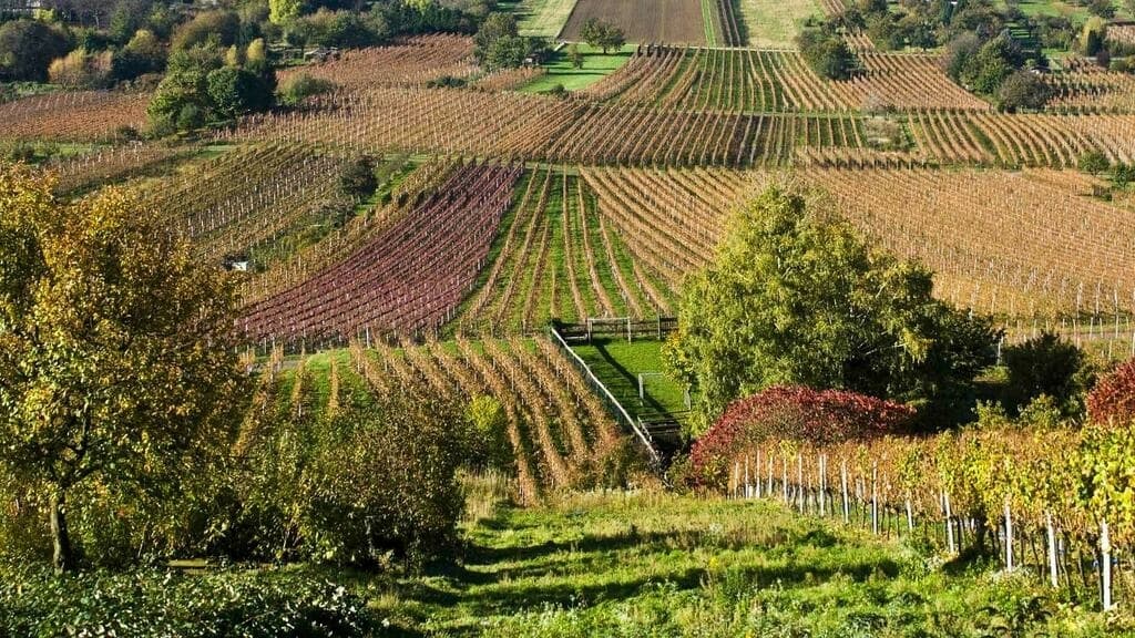 農業・畜産 image