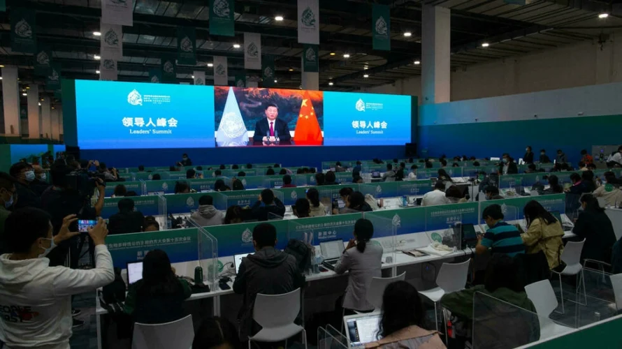 中国の国家主席は10月12日、発展途上国の生物多様性の保全と再生可能エネルギーの開発に向けた2億ユーロ以上の基金を発表しました。AFP - STR