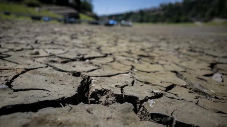 2022年7月、フランスとスイスの国境にある、完全に干上がったブレネ湖。AFP / Fabrice Coffrini