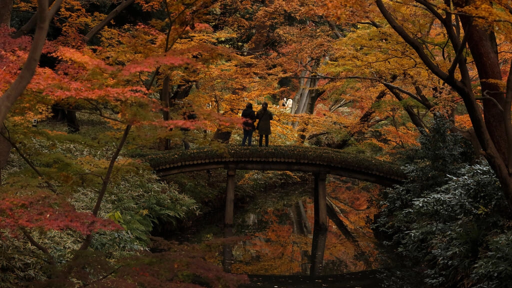 Le jardin Rikugien à Tokyo