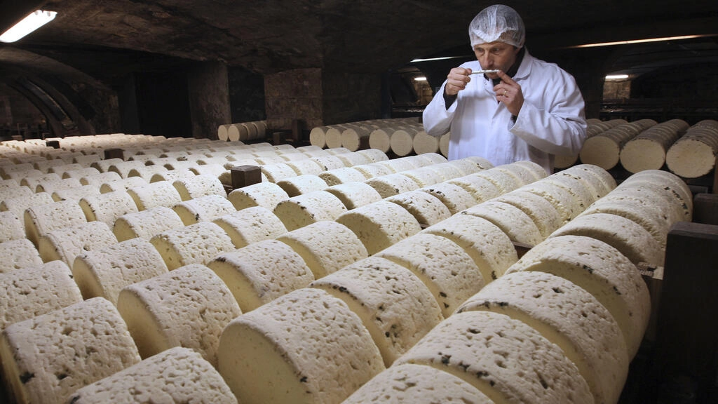 アヴェロンの7つのロックフォール生産者の中で最大のソシエテ社の洞窟の中のチーズ。© ボブ・エドミー/AP
