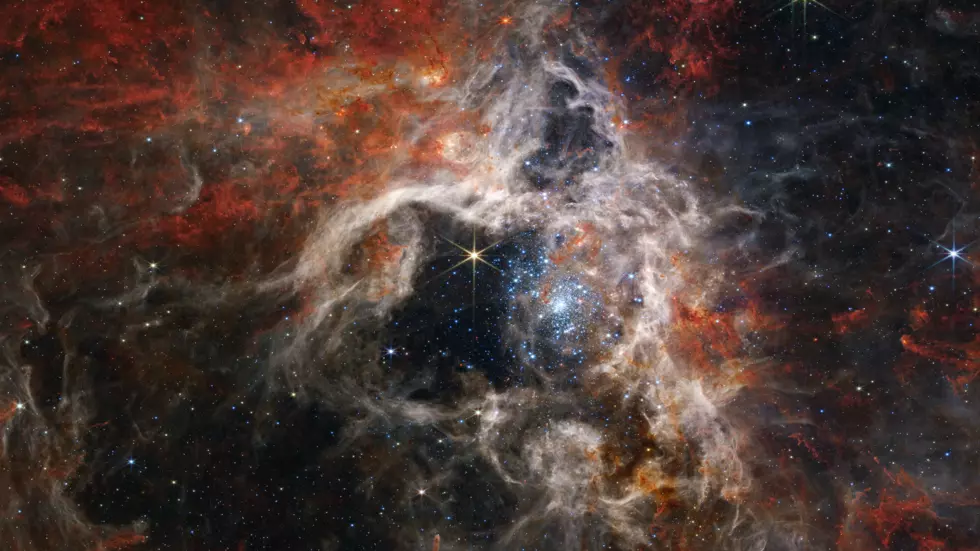 タランチュラ星雲は星形成の領域です。この決まり文句は、ウェッブが赤外線で見る能力がなければ、私たちには見えないままだったであろう数万人を明らかにします。© NASA / ESA / CSA / STScI