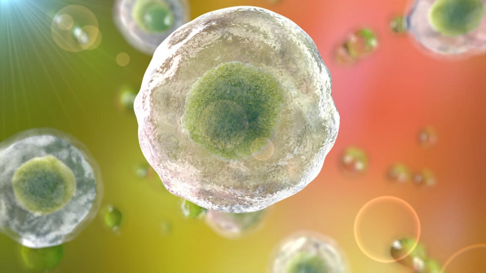 遺伝子治療を作成するための音響分野