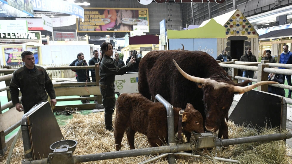 職業危機の真っ只中にあるフランスの農業
