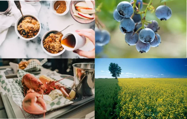 カナダのおいしい四季を食べよう!「カナダフェア」開催