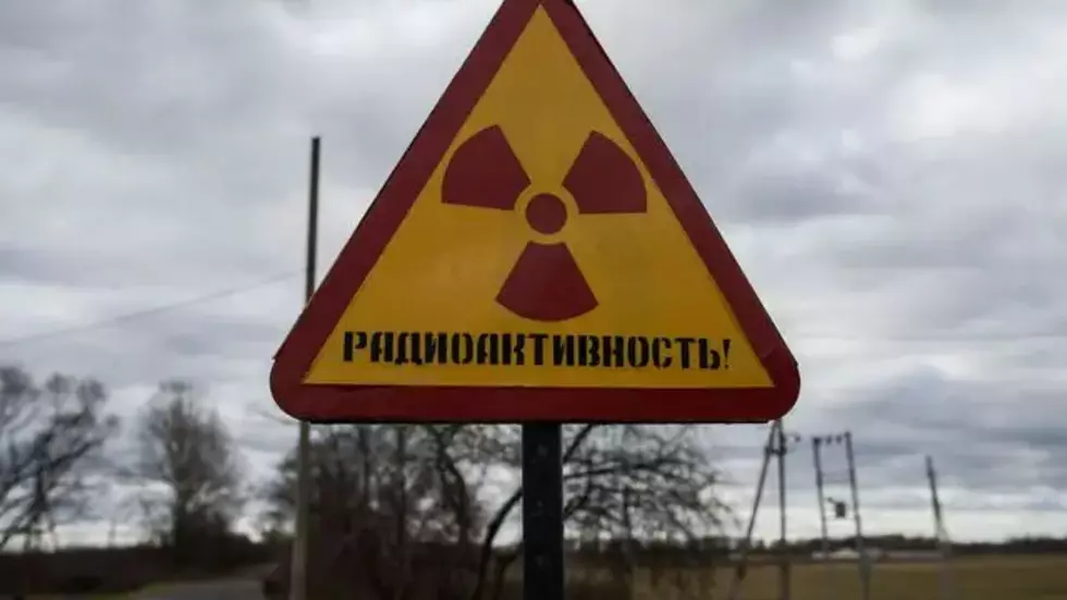 原子力：エネルギー転換の物議を醸す資産