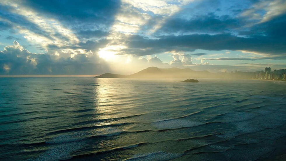 国連、公海の海洋生物を保護するための史上初の条約を採択