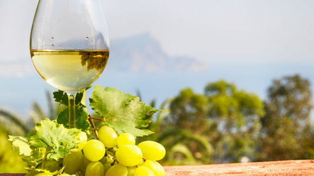 効率を上げた収穫で、品質が良い ドイツワイン産地の 2023 ヴィンテージ