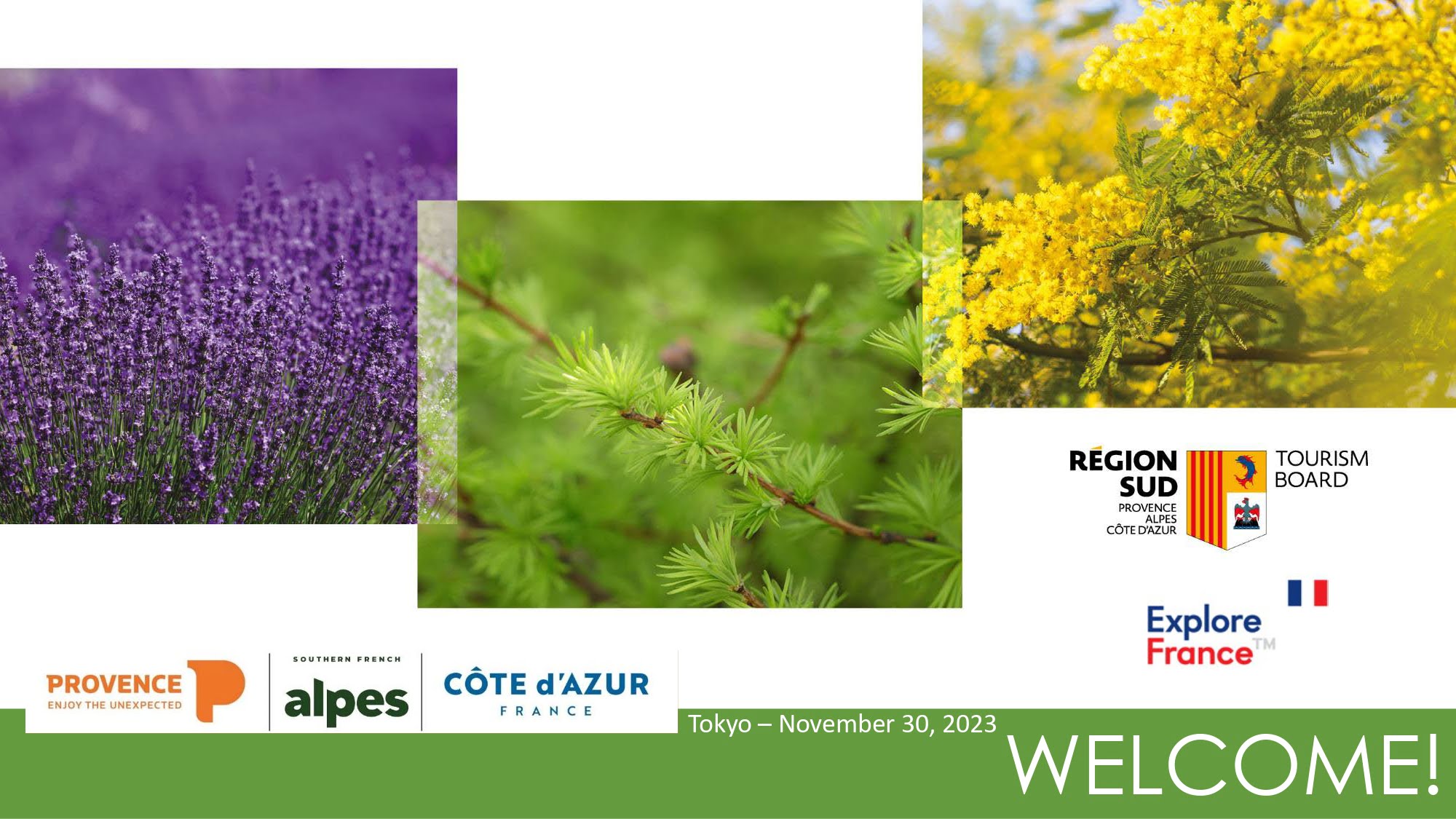 プロヴァンス・アルプ・コートダジュール 2024