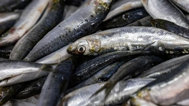 フランスで販売されている魚のほぼ半分は「持続可能な供給源からではない」