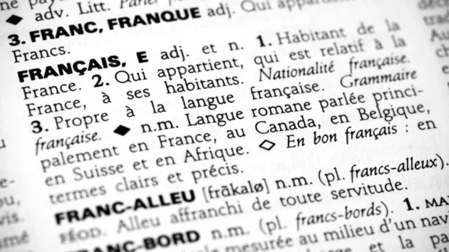 フランス語:新しい単語はどのように辞書に入りますか?