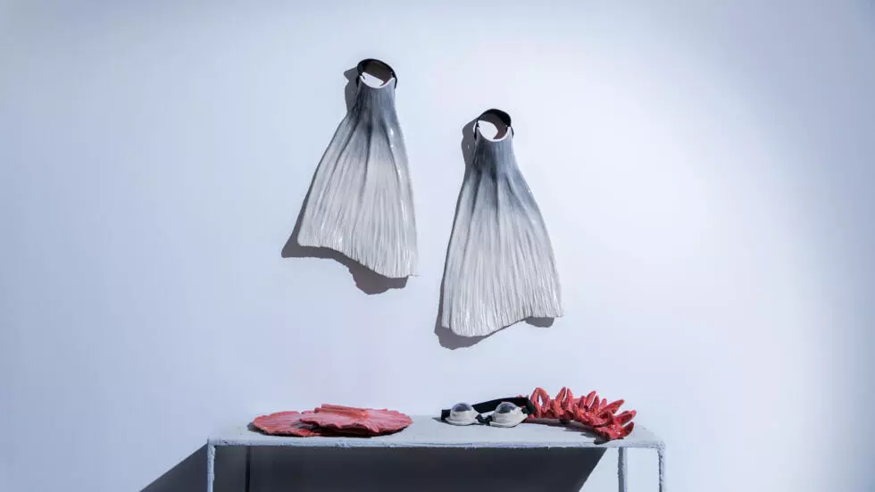 アーティストは海の科学者に加わり、海洋生物の謎を解き明かします