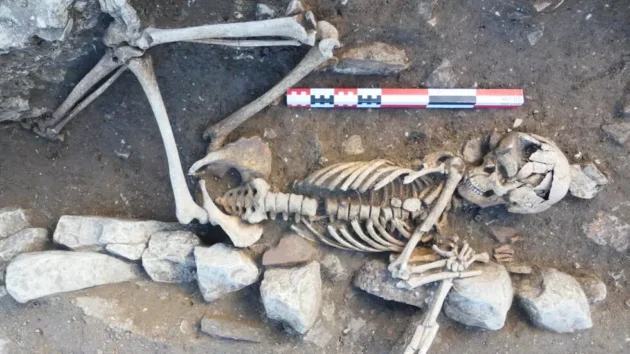 フランスのイル・ド・レの考古学的発見により、北海の貿易関係が明らかになった