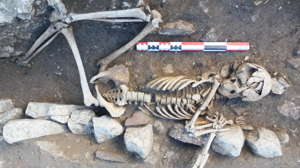 フランスのイル・ド・レの考古学的発見により、北海の貿易関係が明らかになった