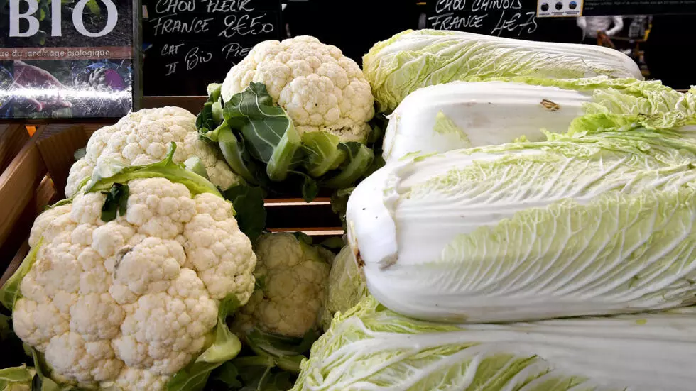 フランスの農家は有機食品の需要の減少と闘う