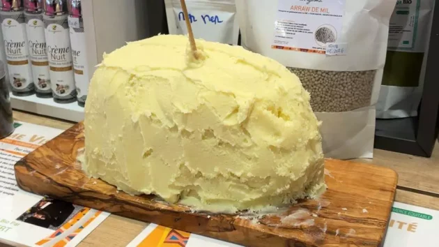 女性主導のセネガルの有機シアバターを製造する会社