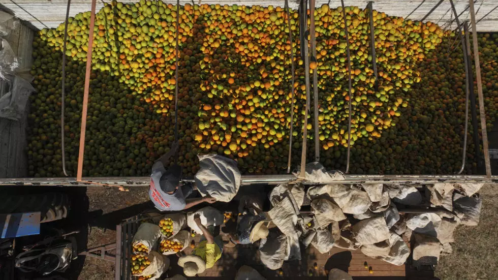 米国の関税の一時停止にもかかわらず、アフリカ経済は不確実な未来に直面している