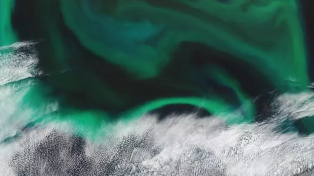 フランスの科学者は、海の神秘的な酸素工場であるプランクトンをマッピングします