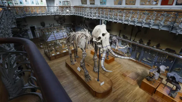 パリ美術館で9月の金の盗難を受けて逮捕された中国人女性